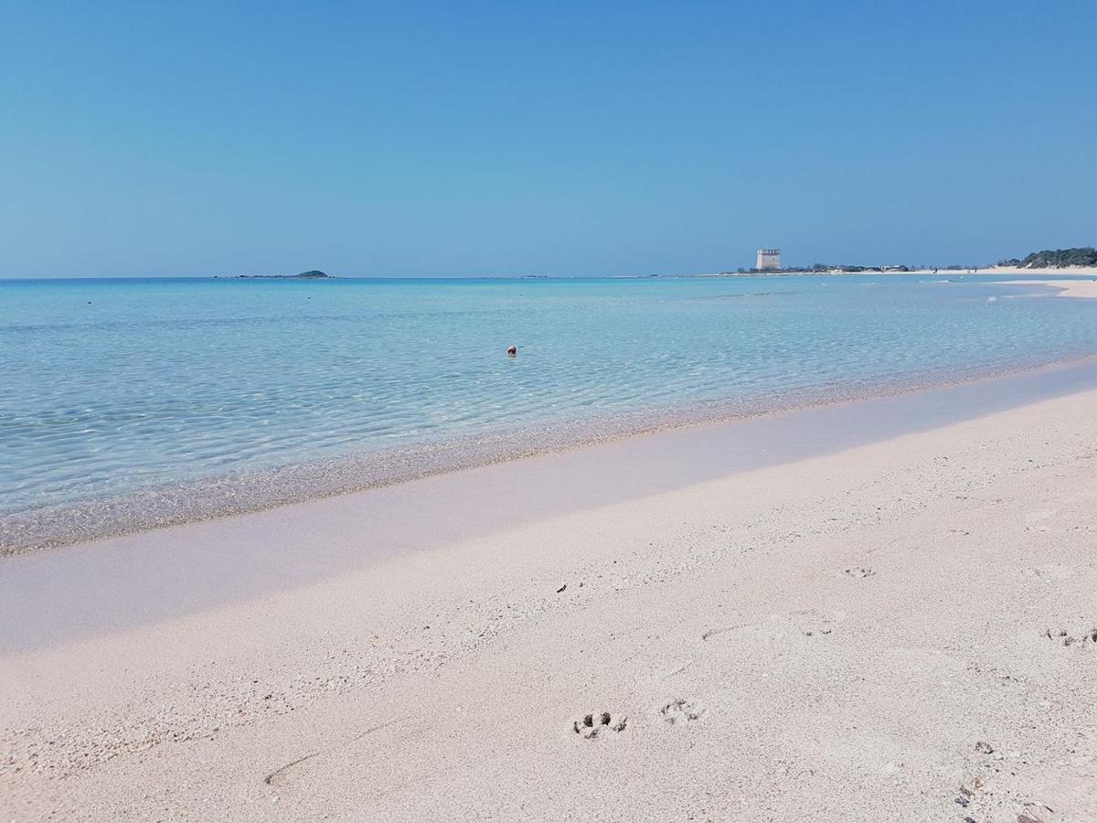 Hotel Posidonia بورتو سيساريو المظهر الخارجي الصورة